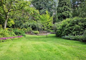 Optimiser l'expérience du jardin à Aubenton